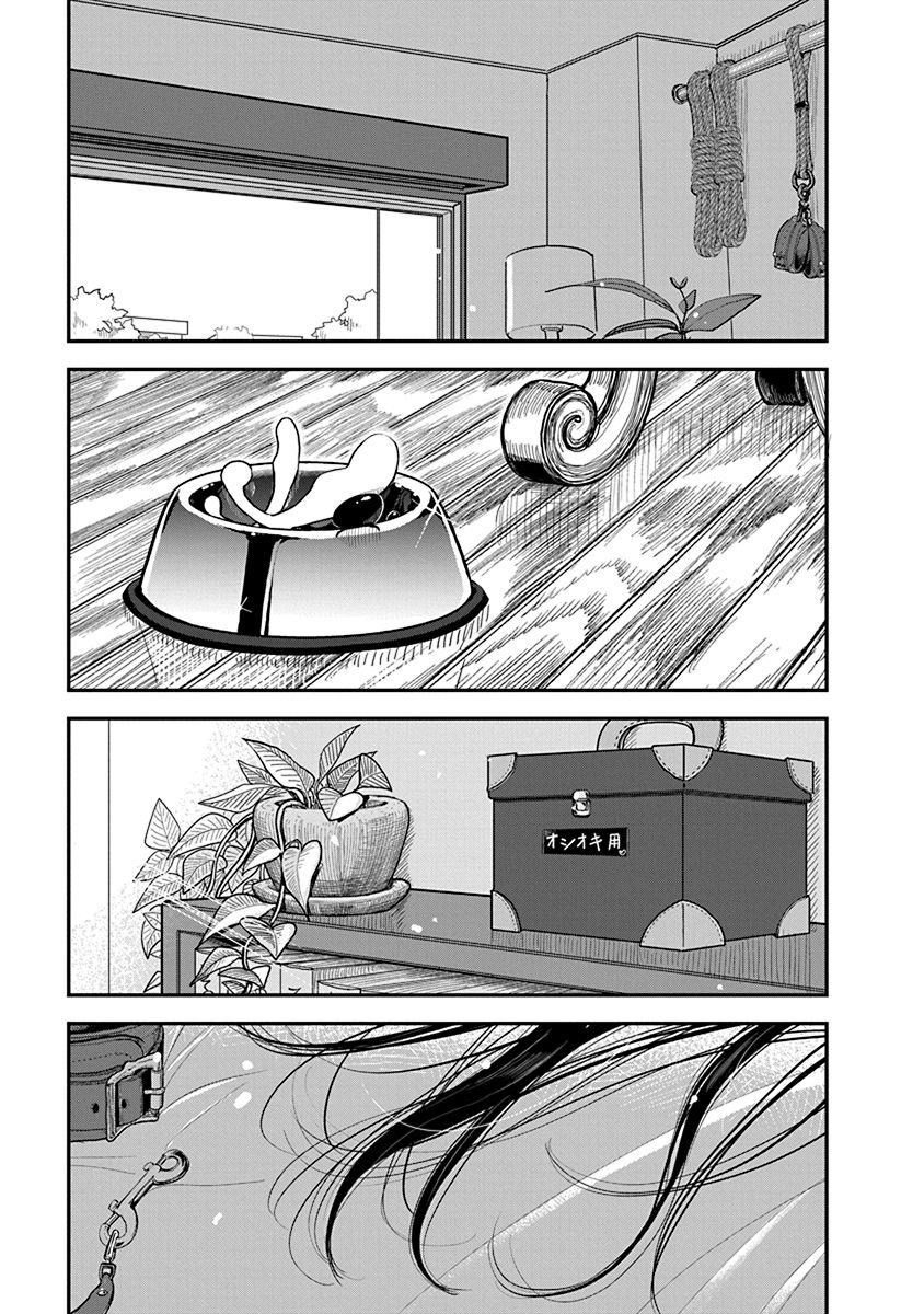 P41
