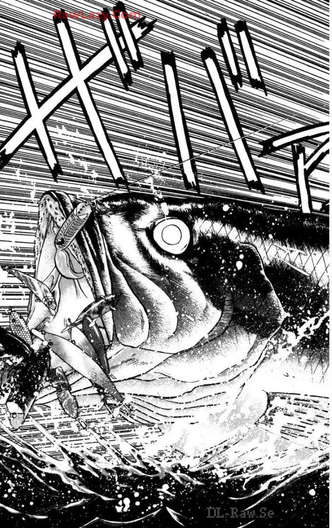 P51