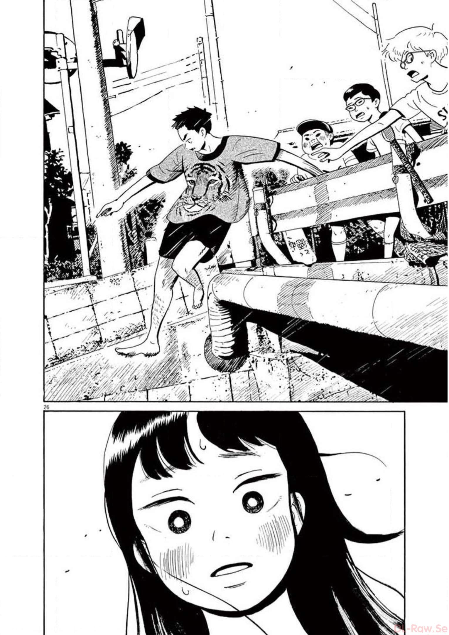 P26