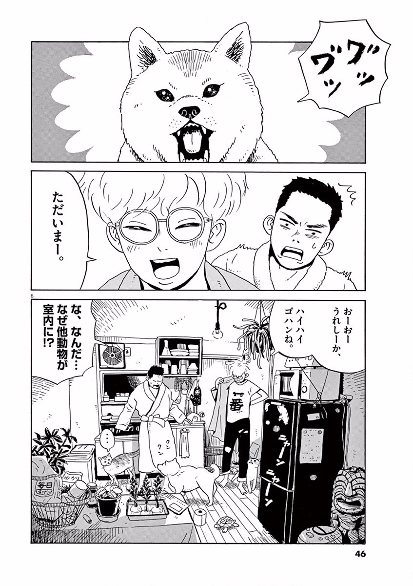 P6