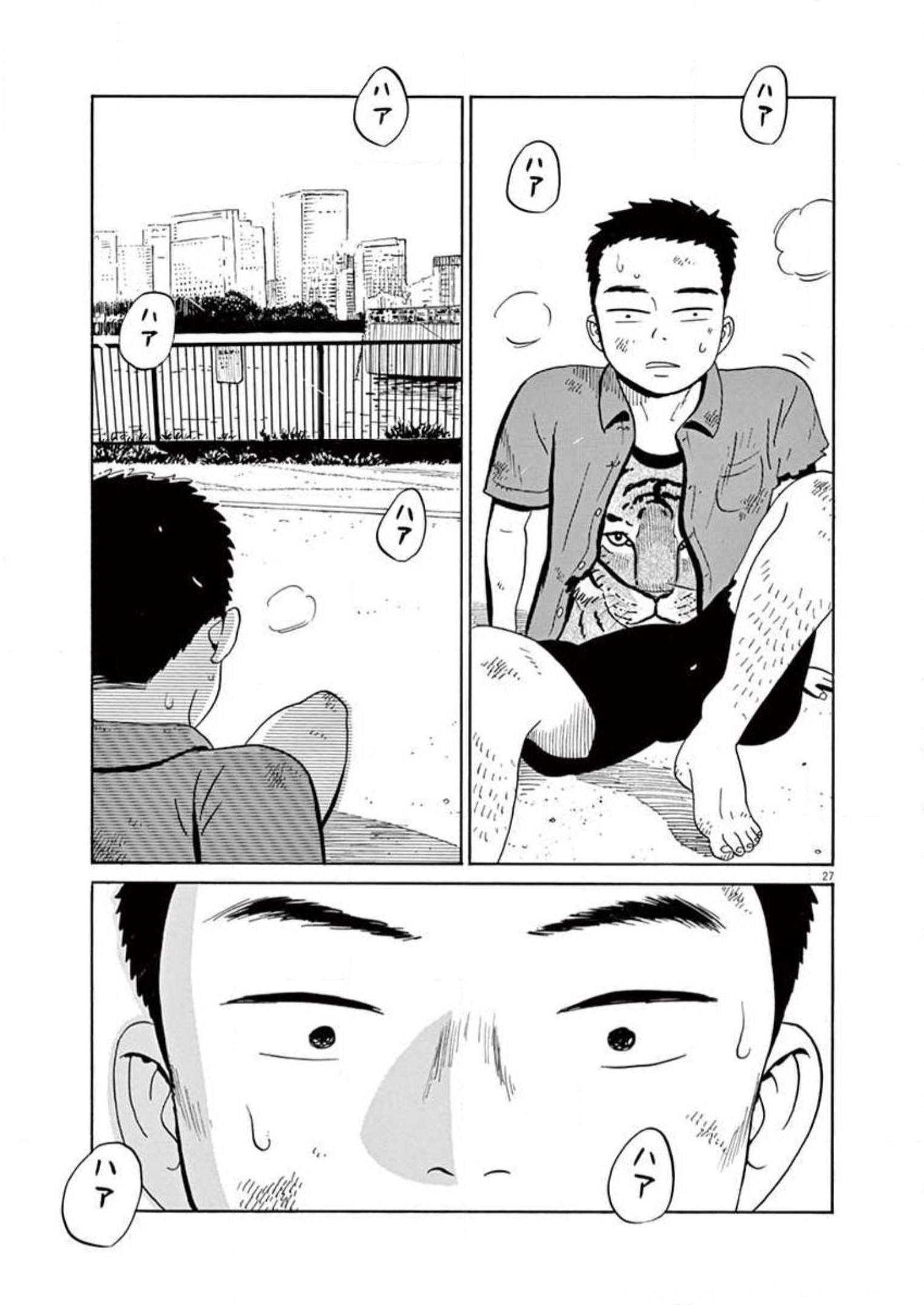 P27