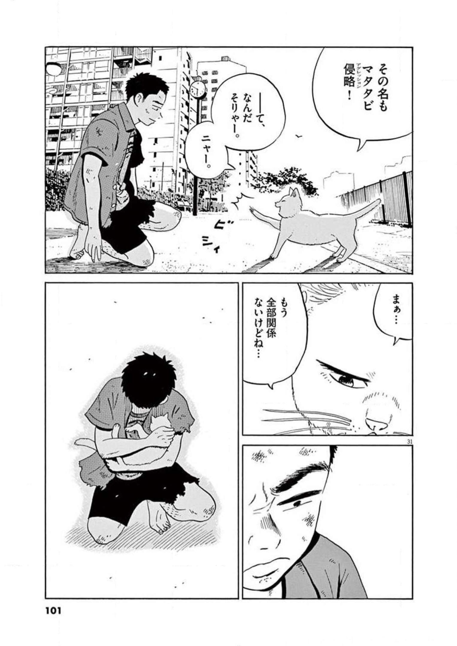 P31
