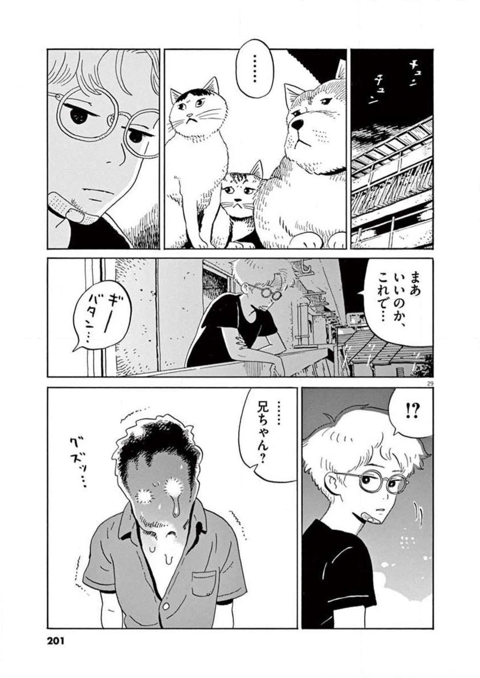 P29