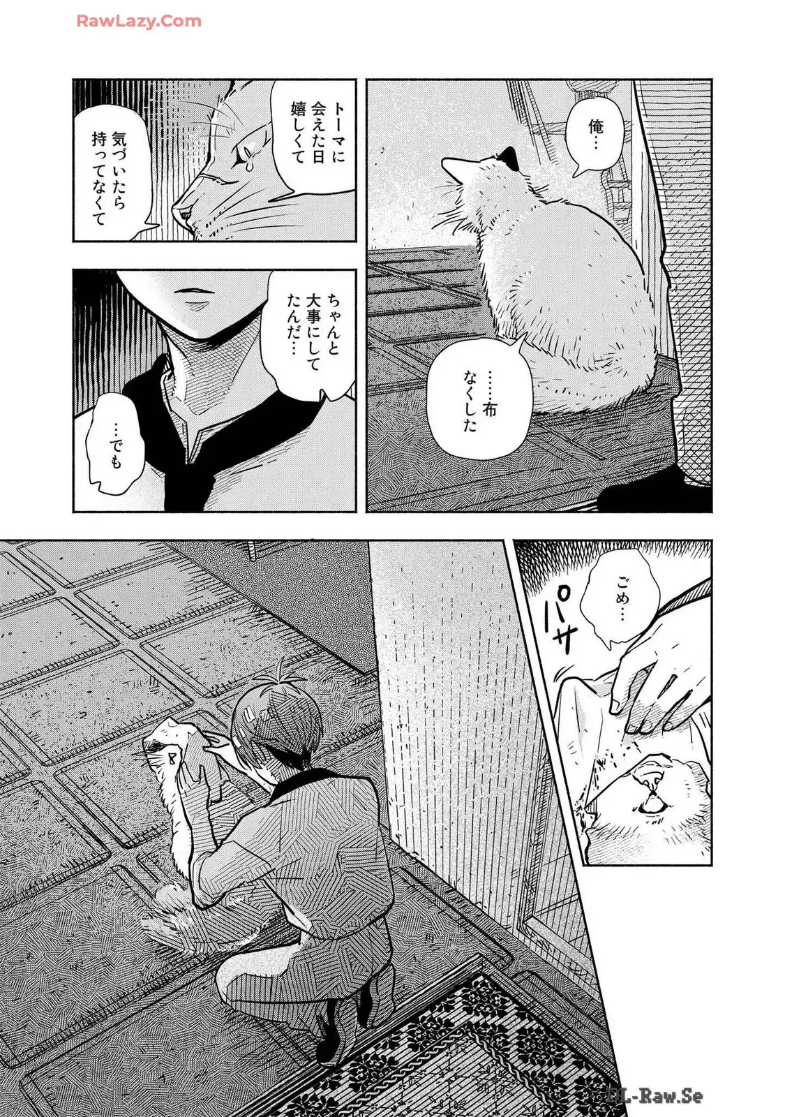 P31