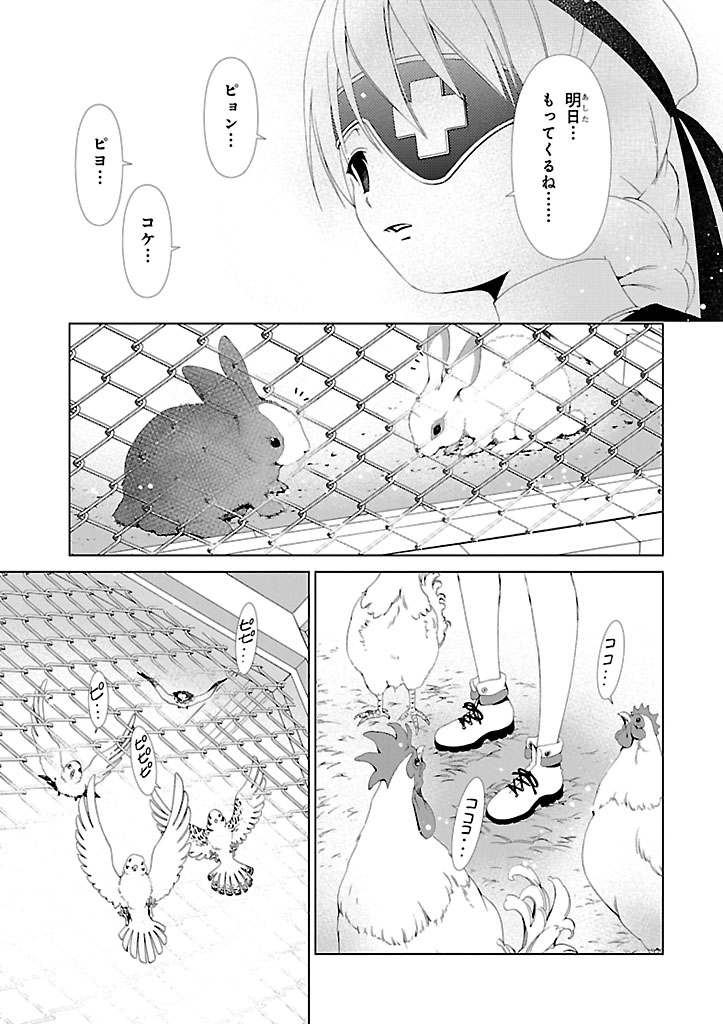 P29