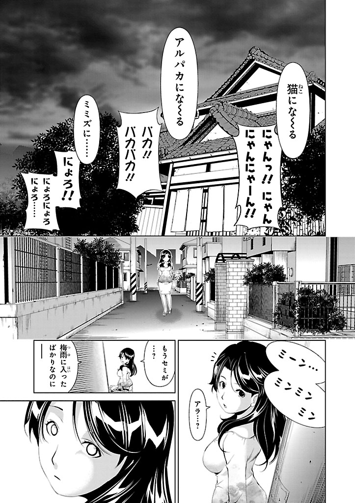 P33