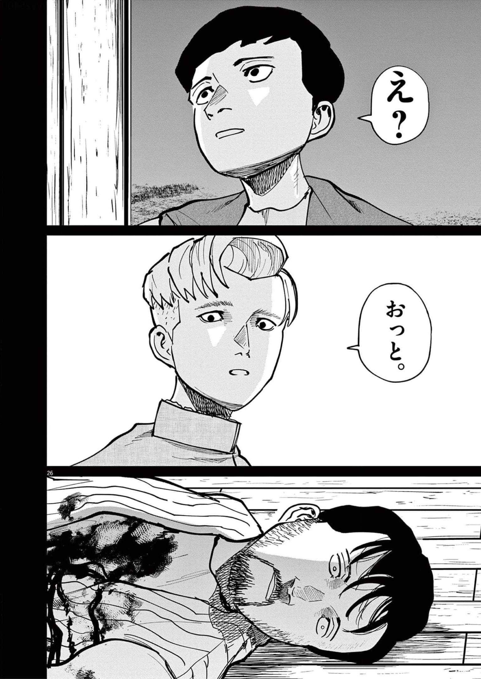 P26