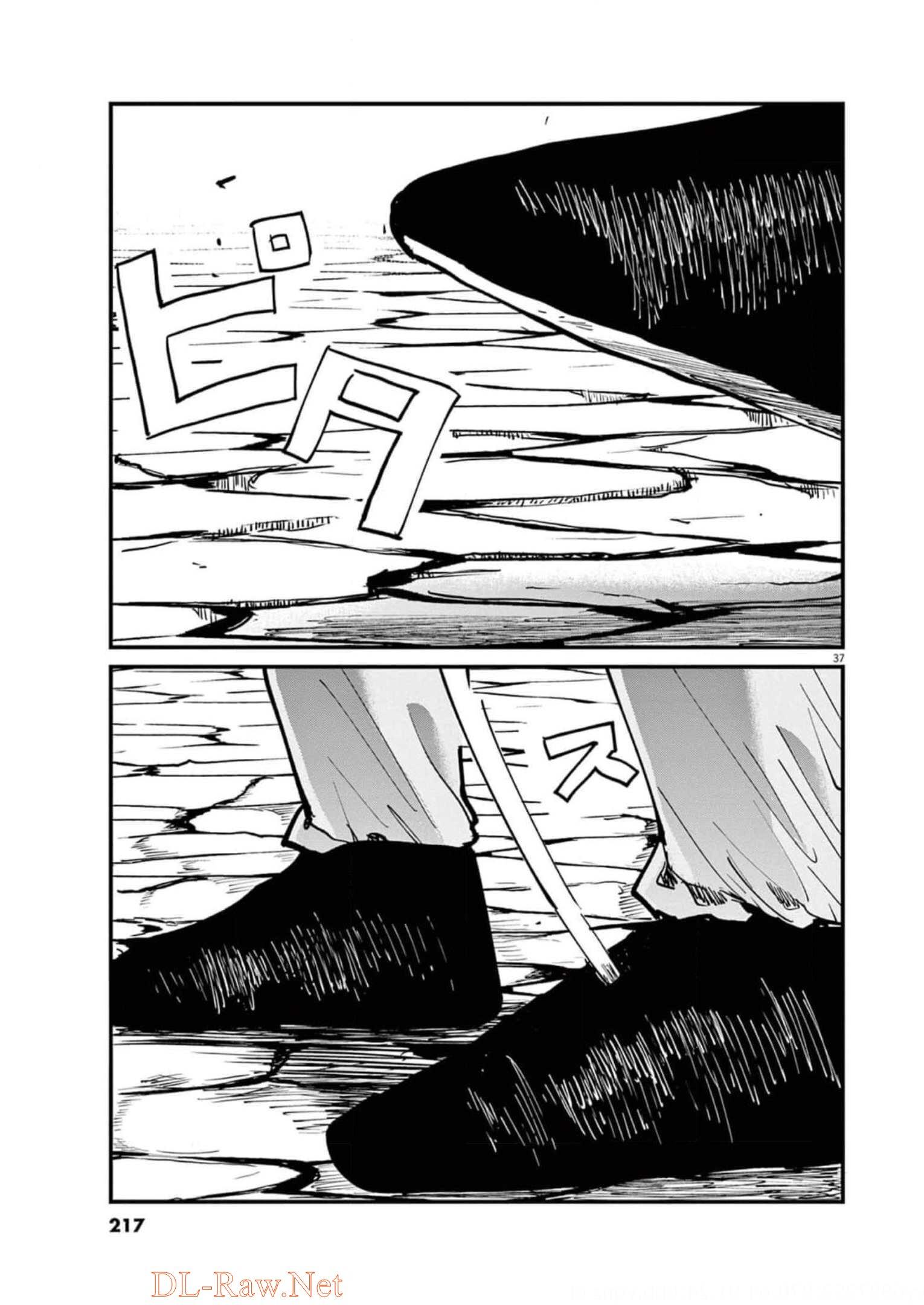 P63