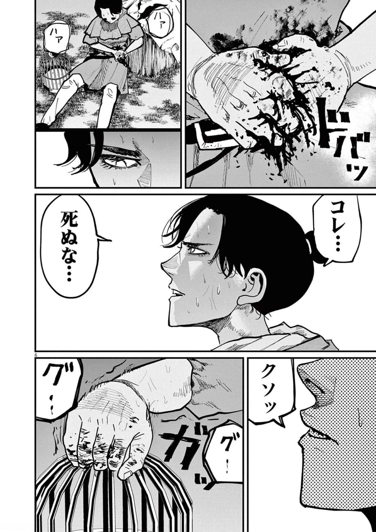P6