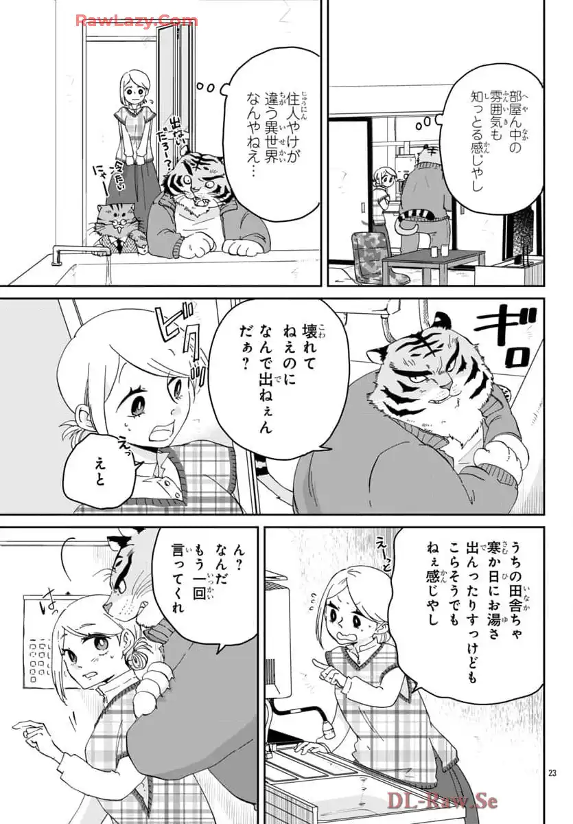 P23