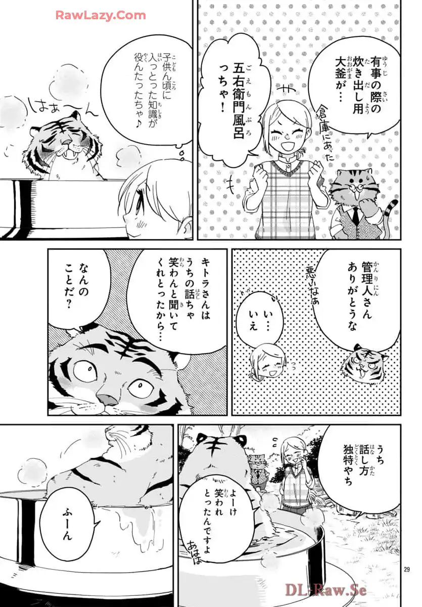 P29
