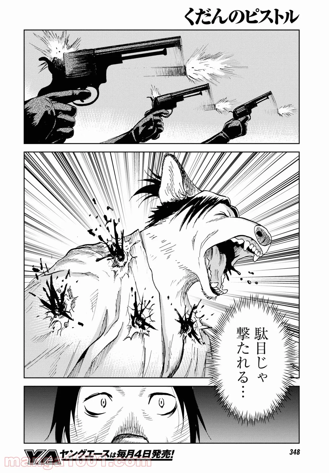P26