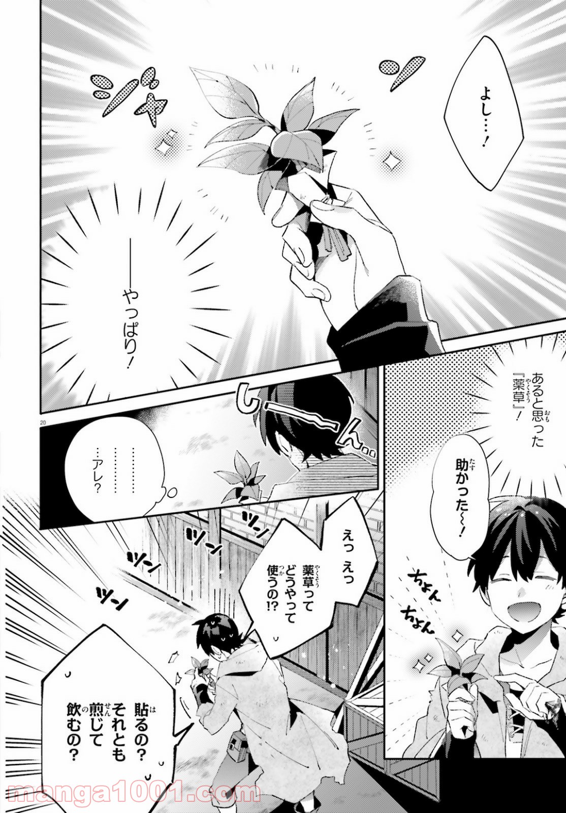 P20