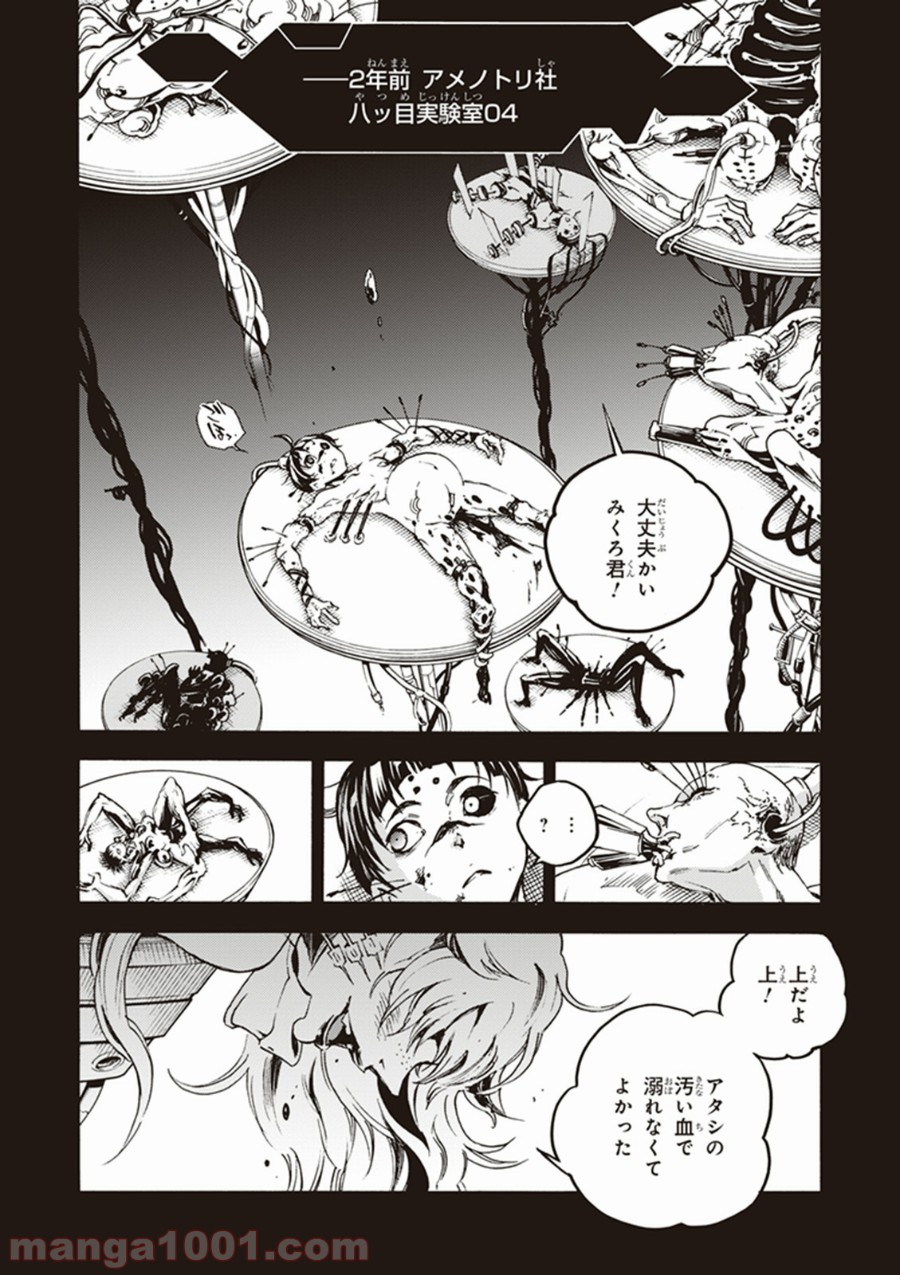 P6