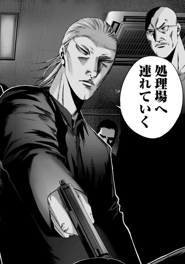 P31