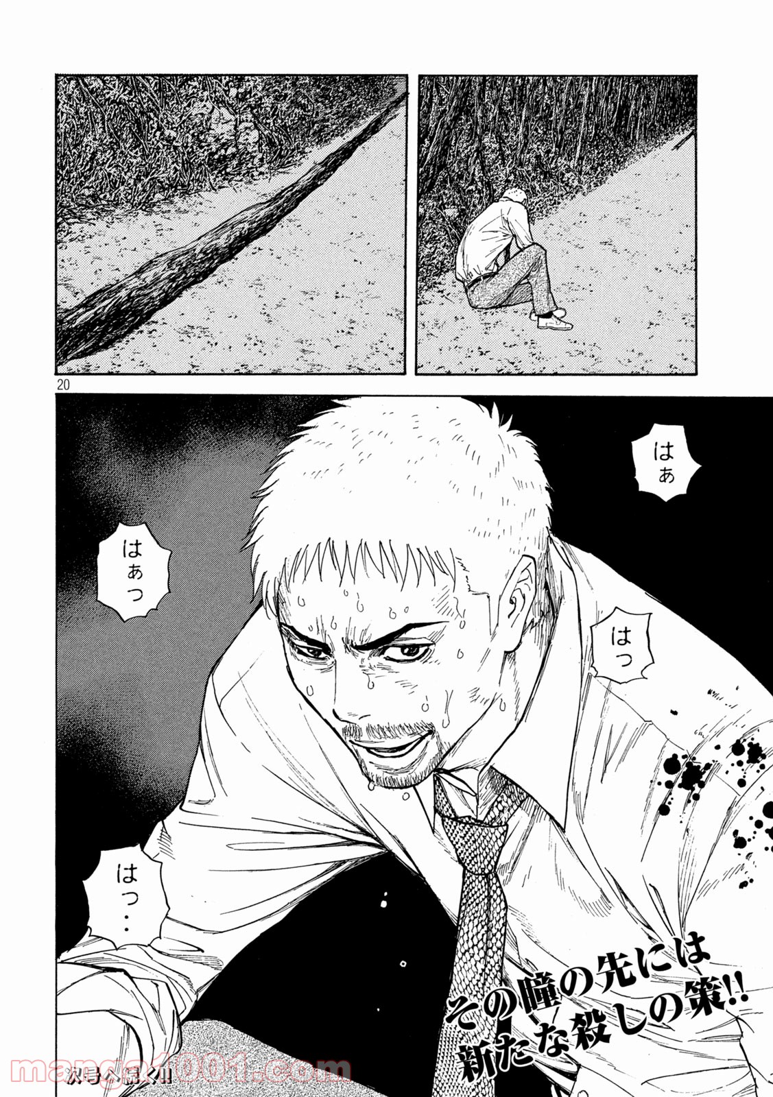 P20