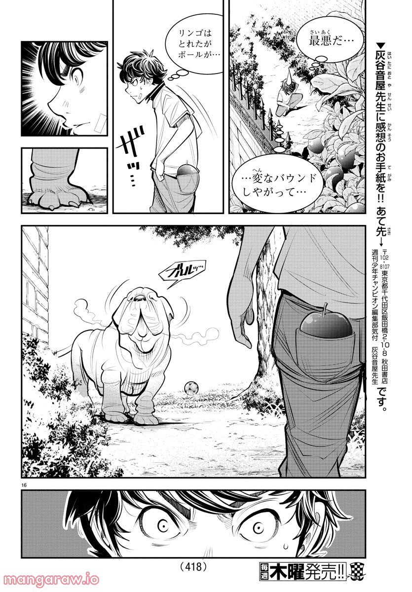 P16