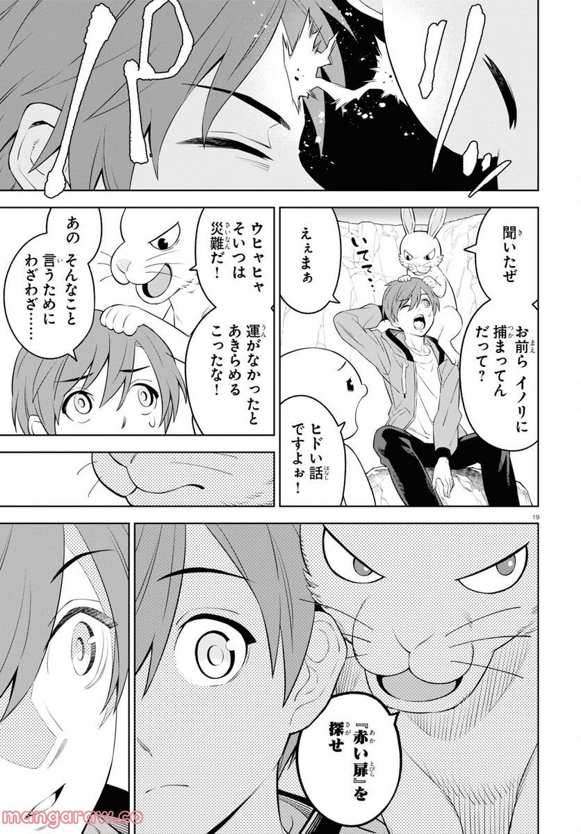 P19