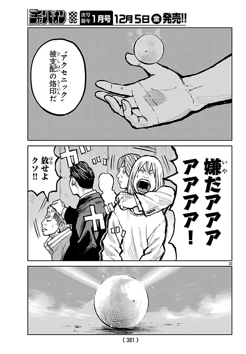P23