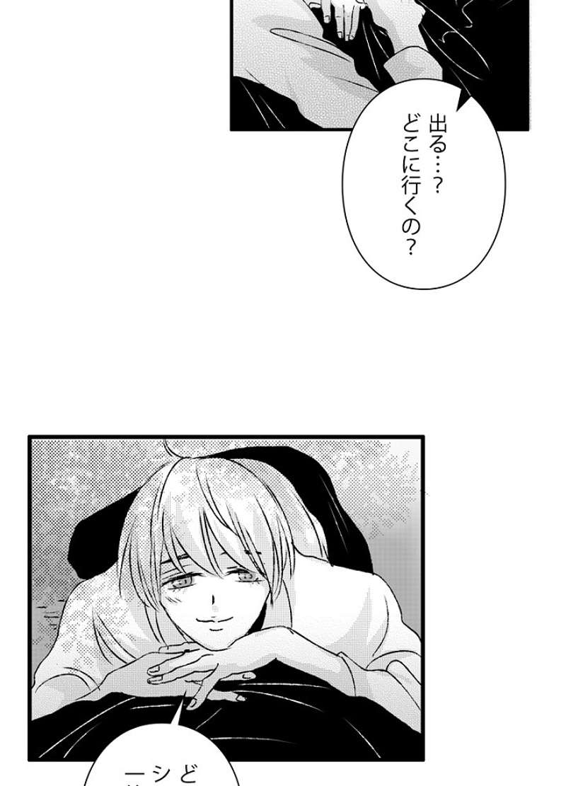 P41