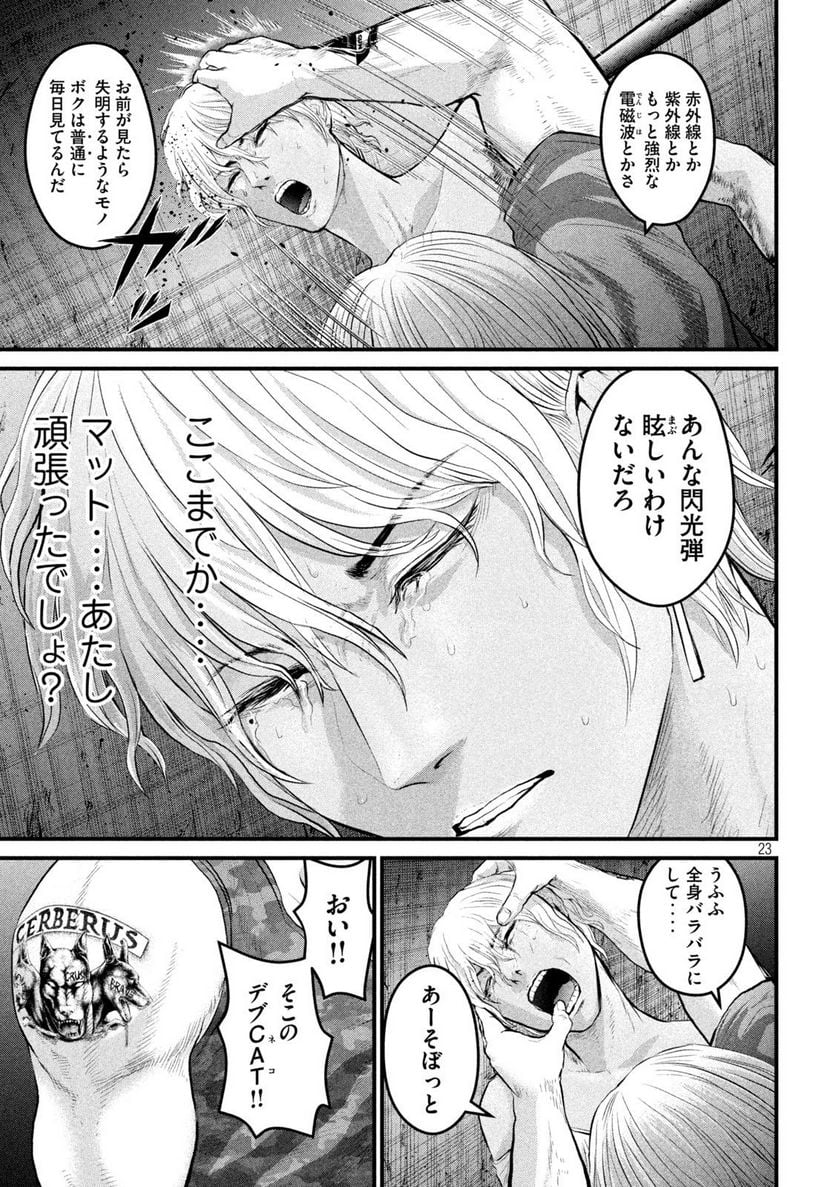 P23