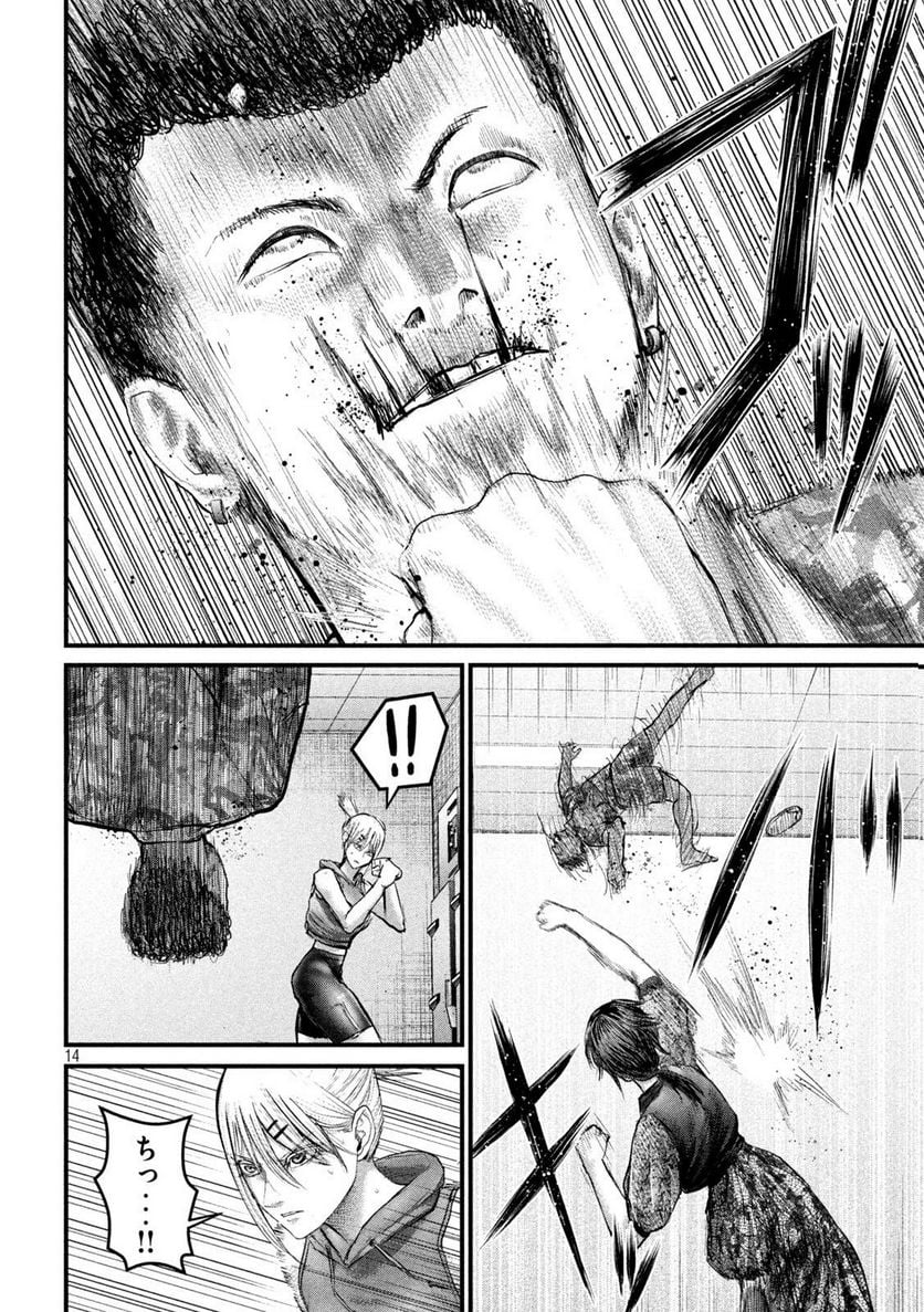 P14