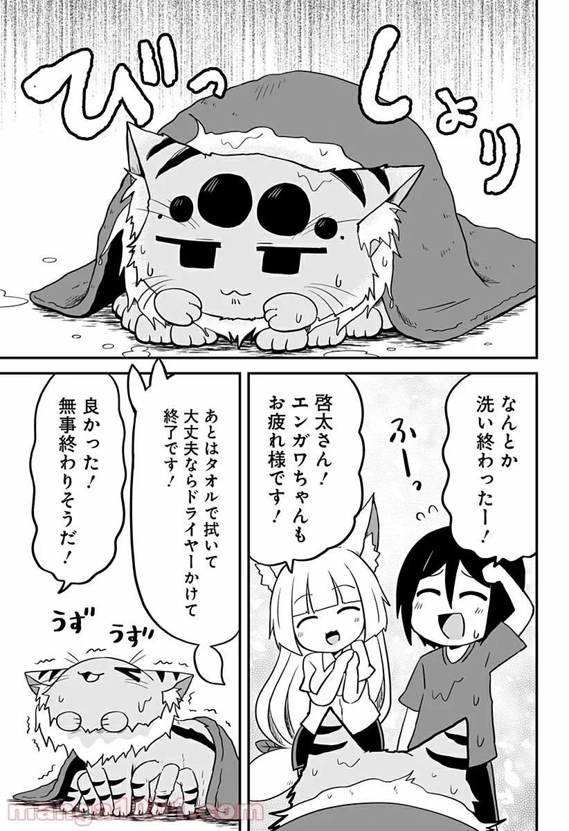 P11