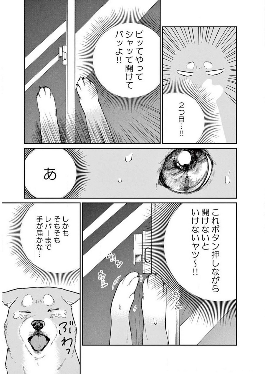 P31