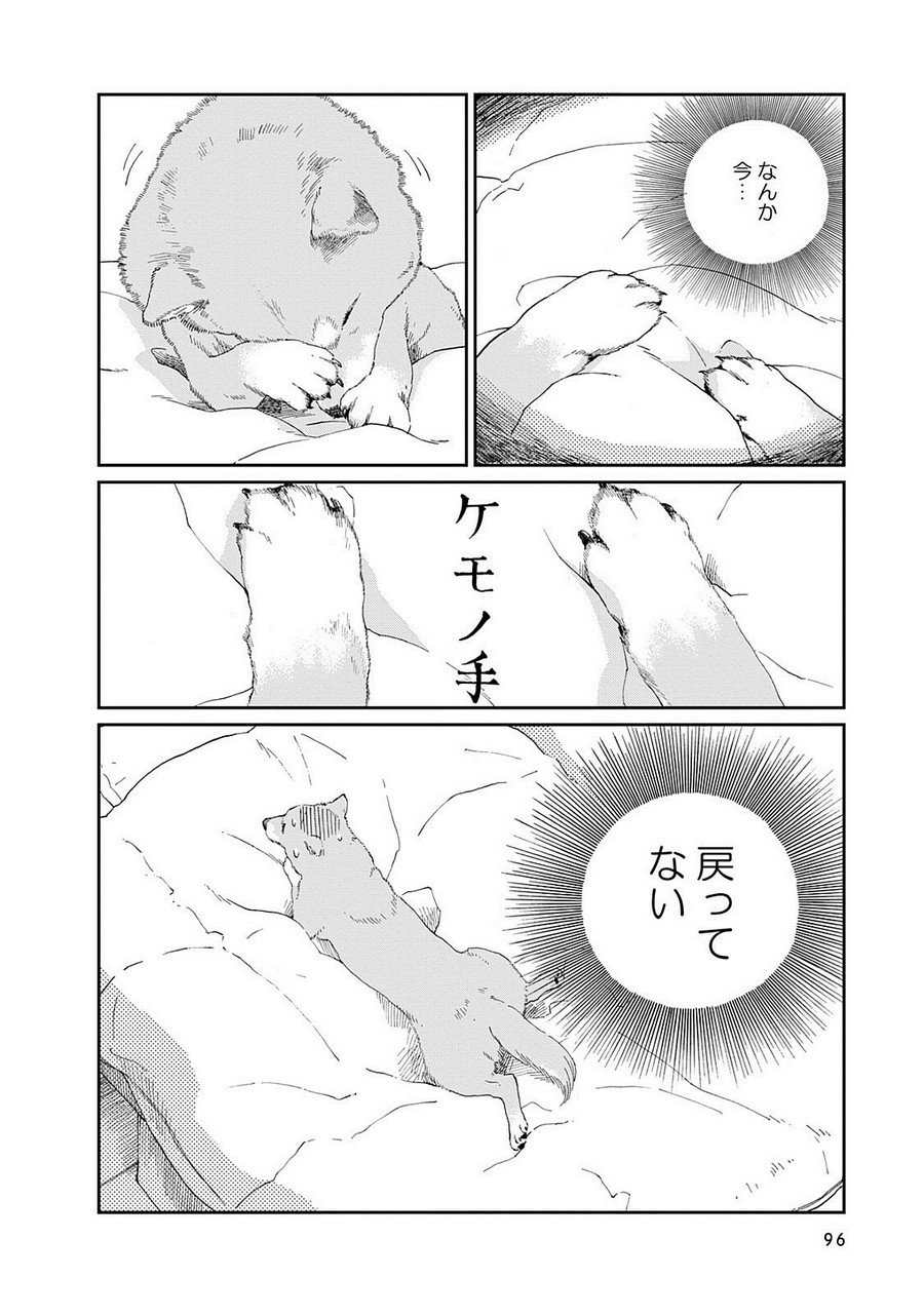 P26