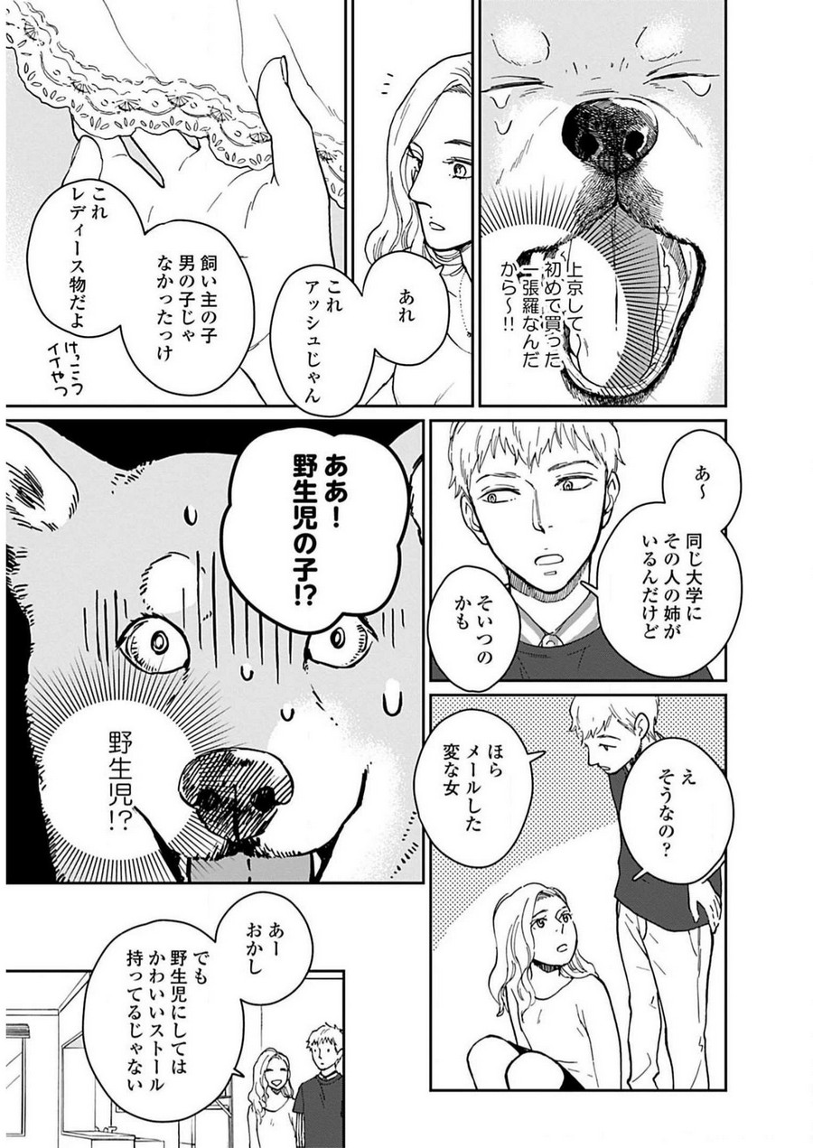 P13