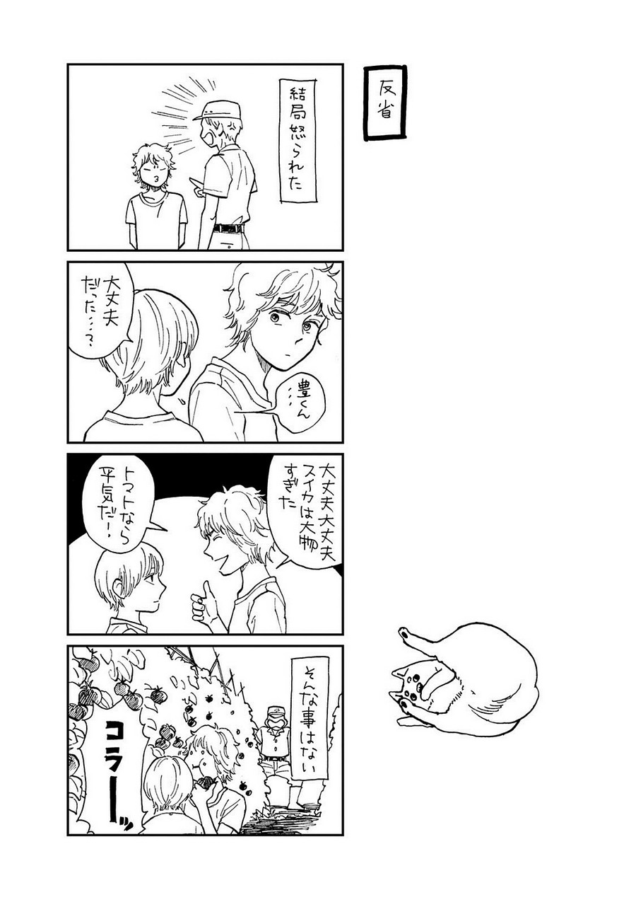 P36