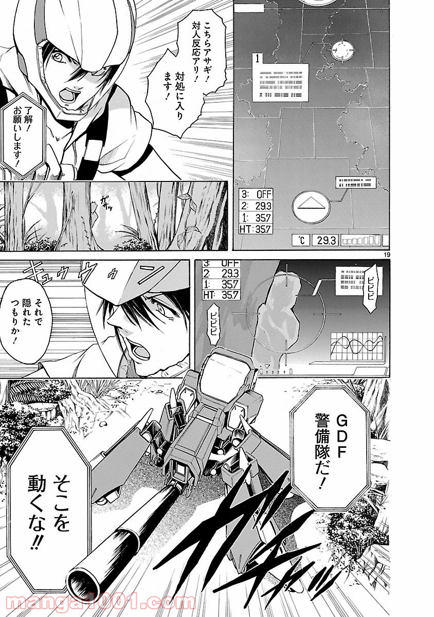 P19