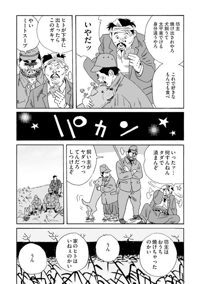 P20