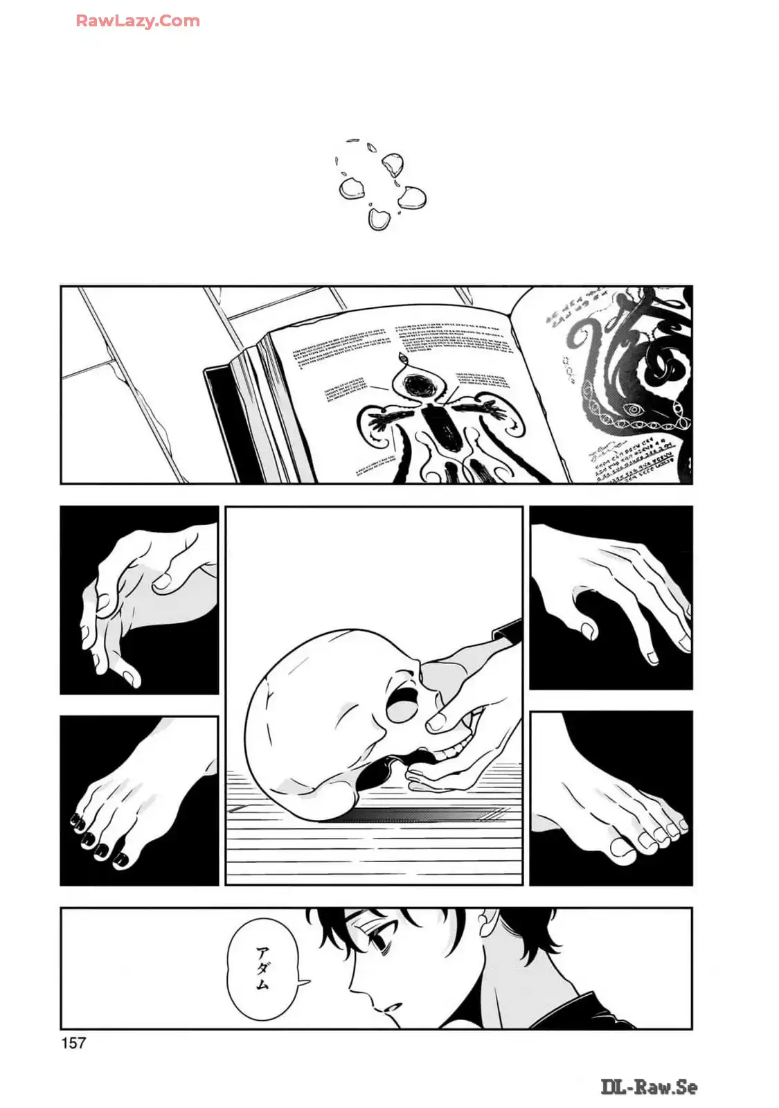 P29
