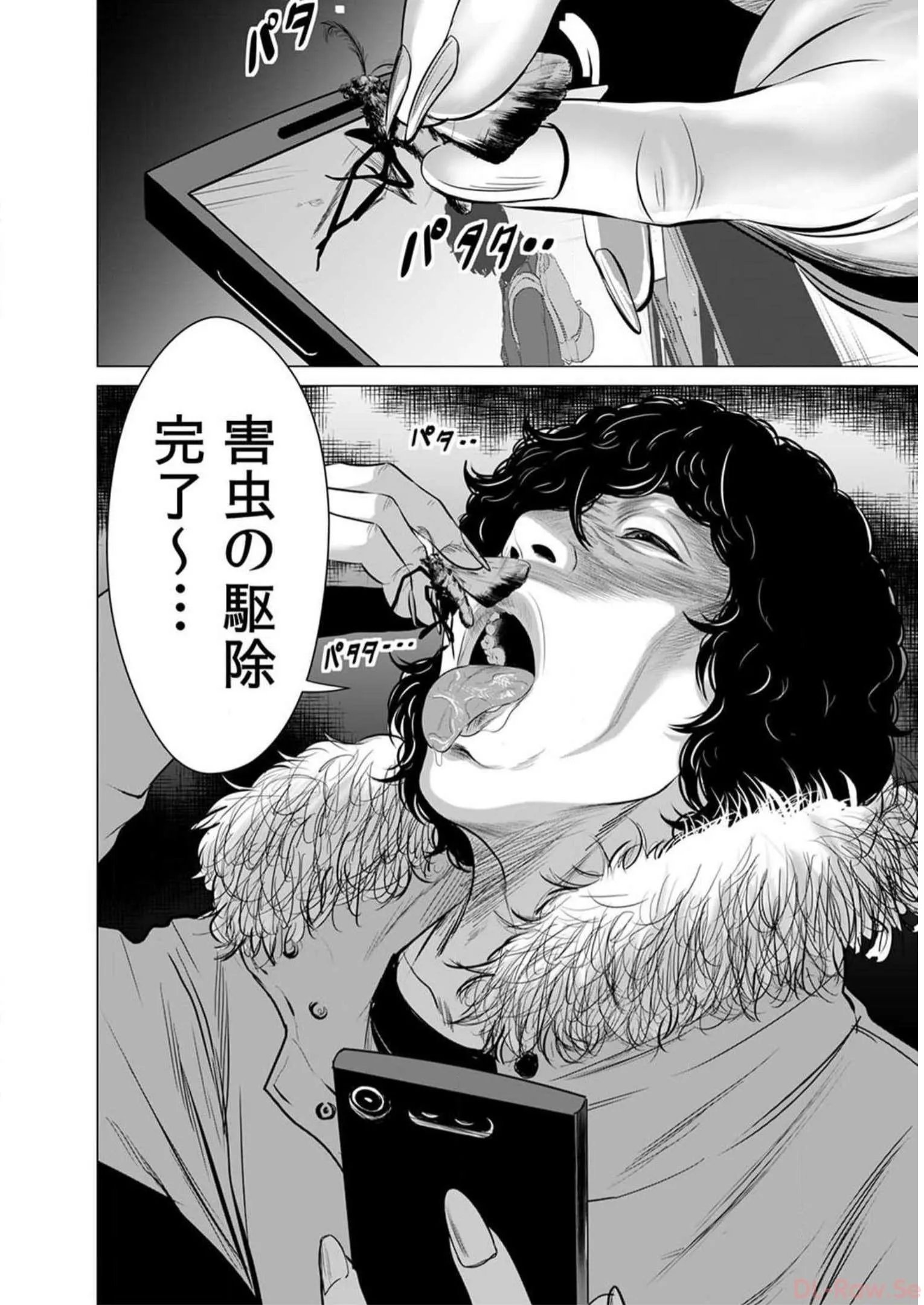 P26