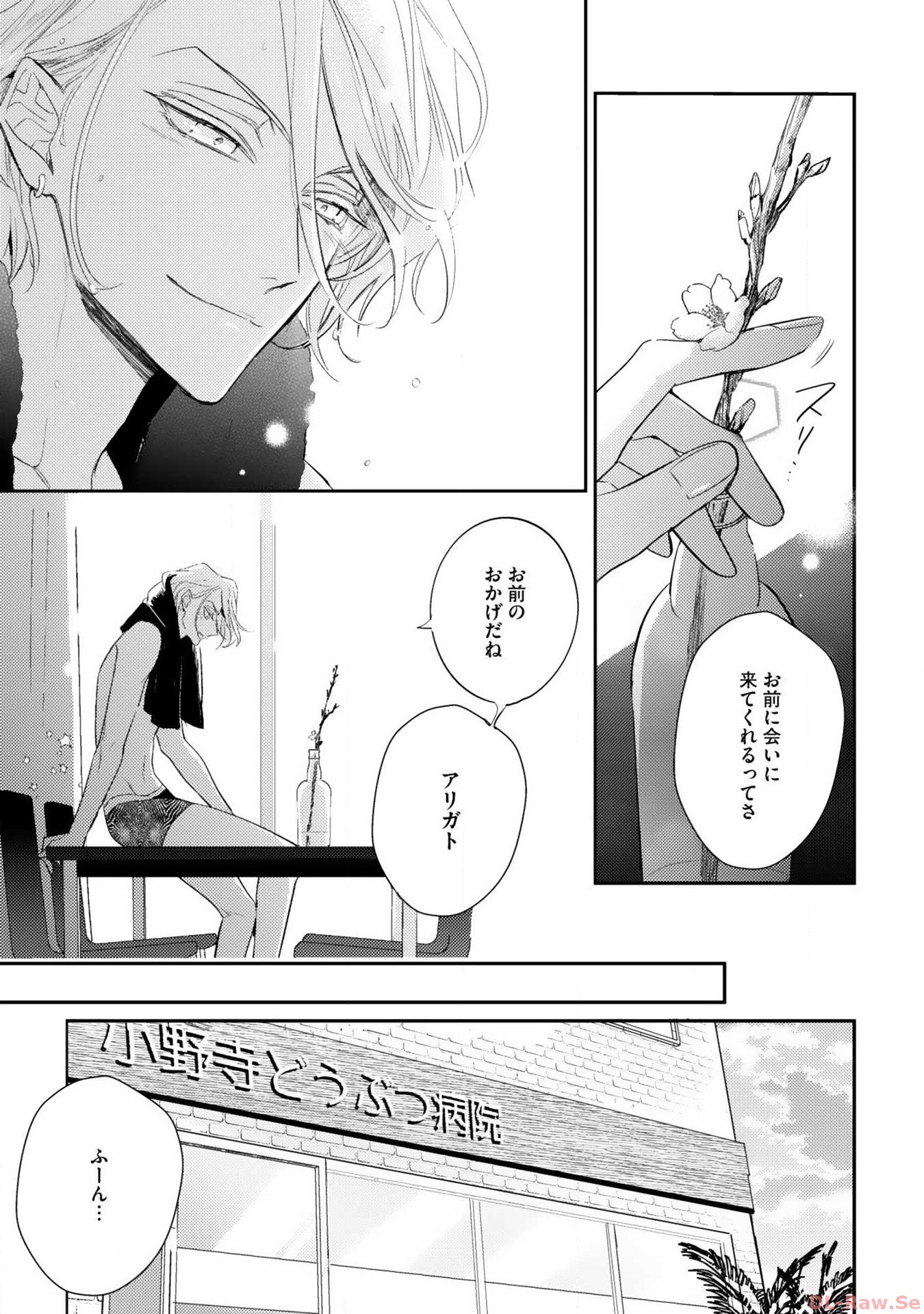 P27