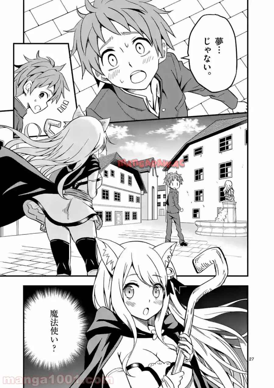 P27