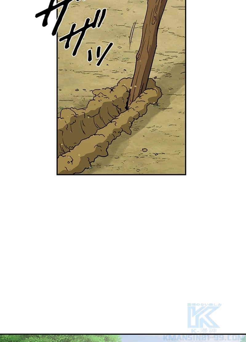 P53
