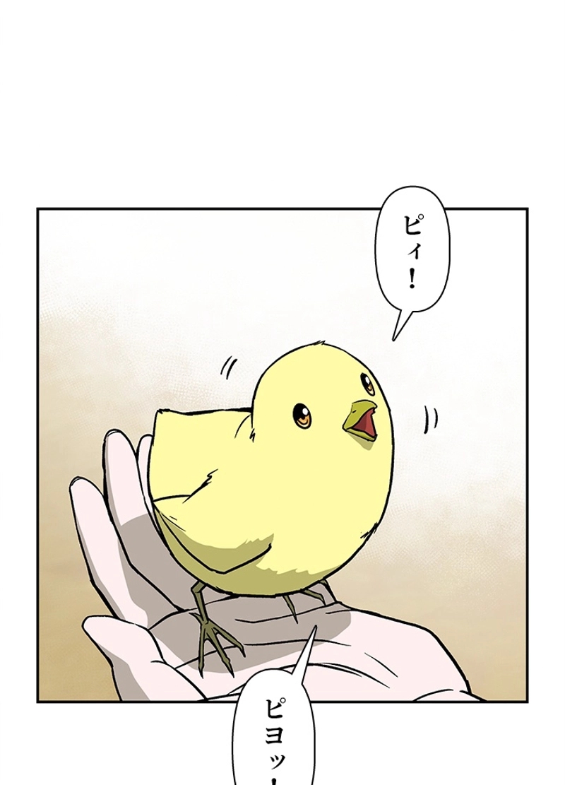 P43