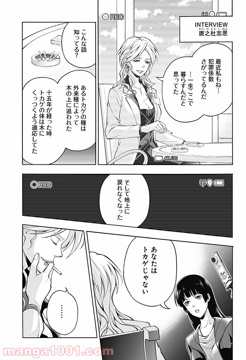 P39
