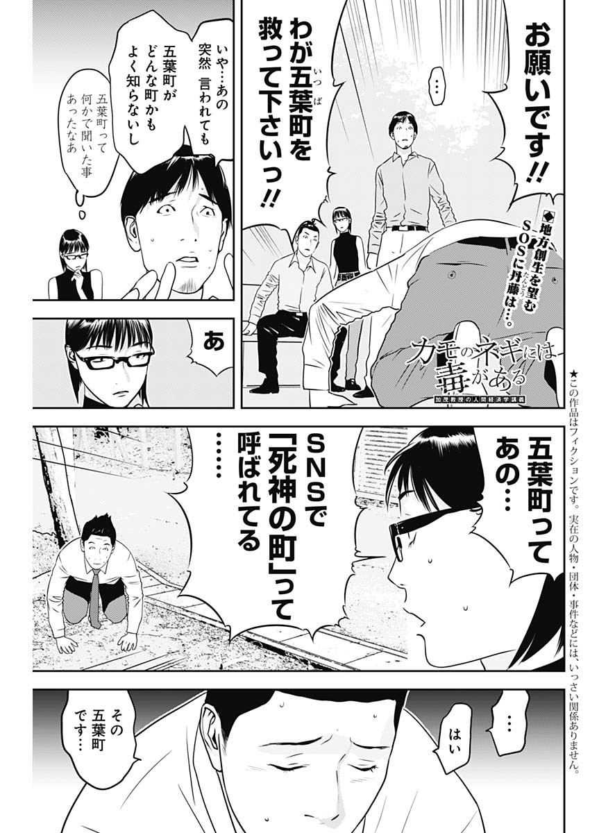P53