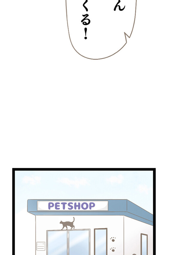 P37