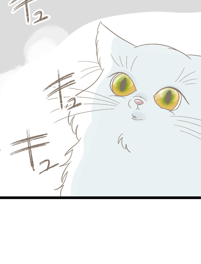 P59