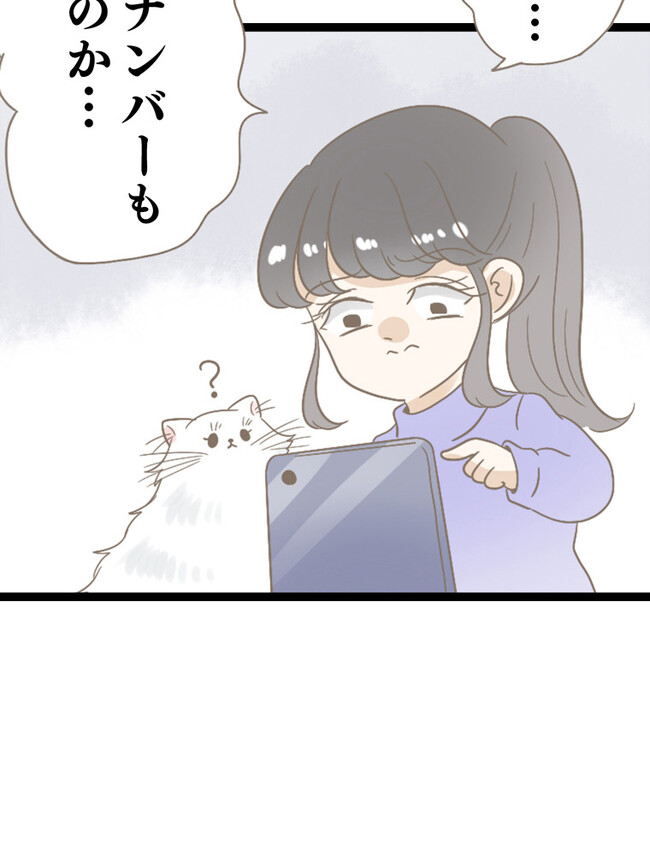 P44