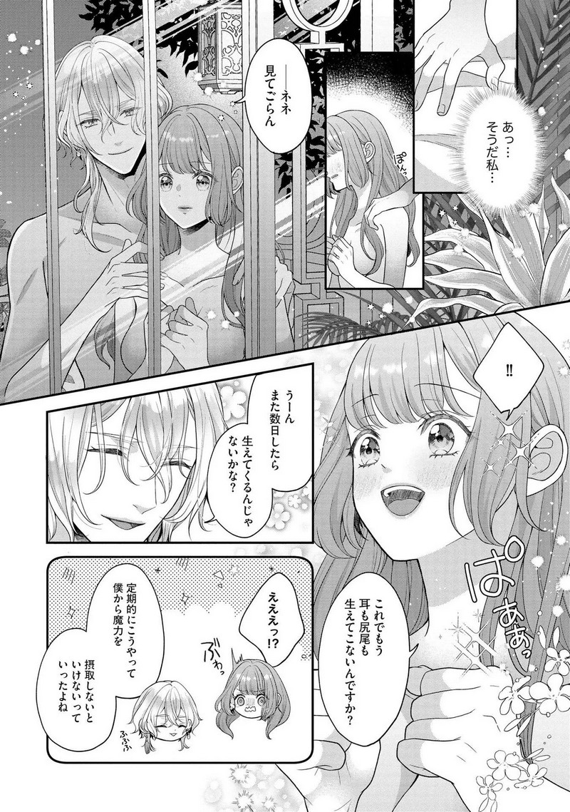 P33