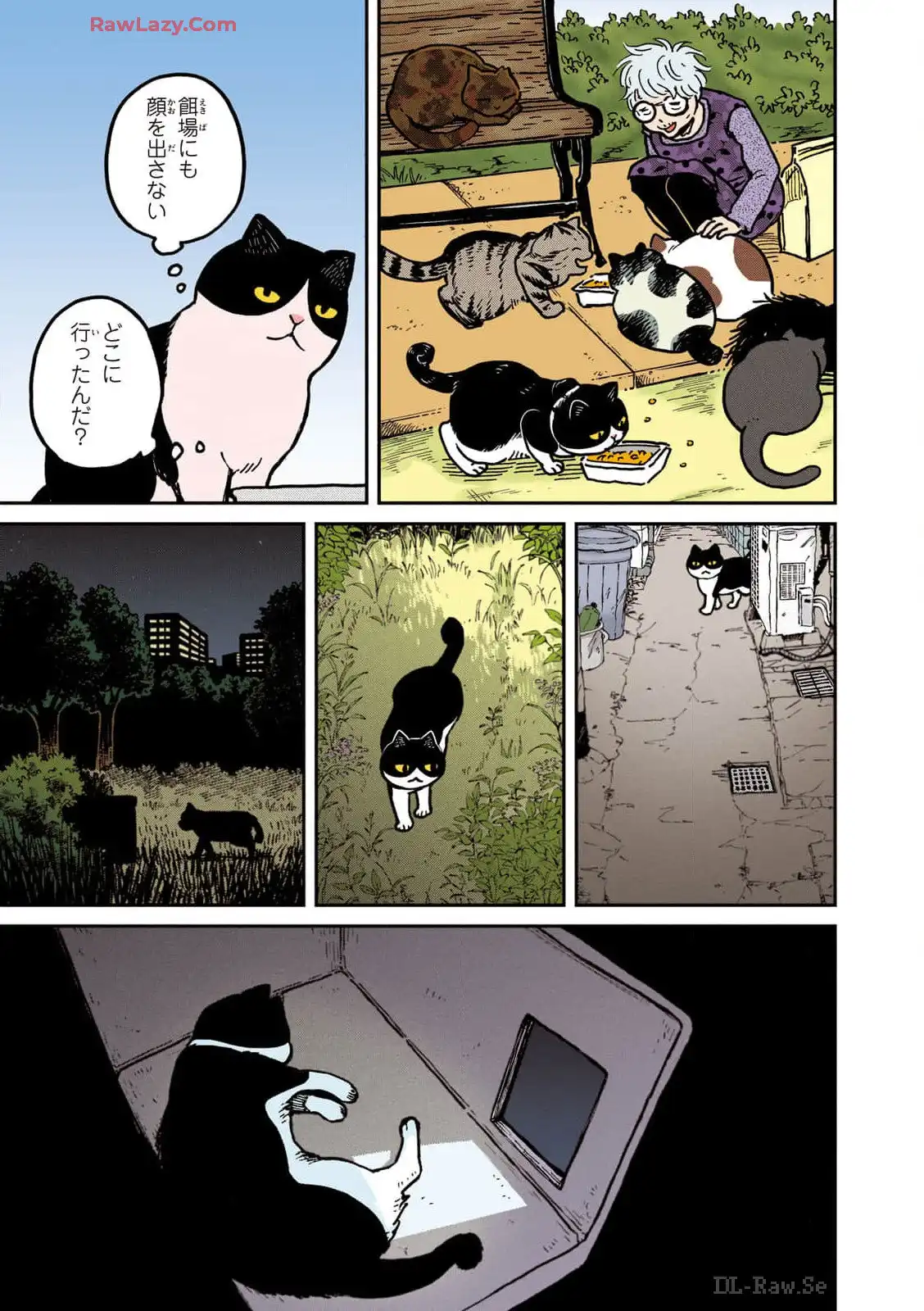 P5