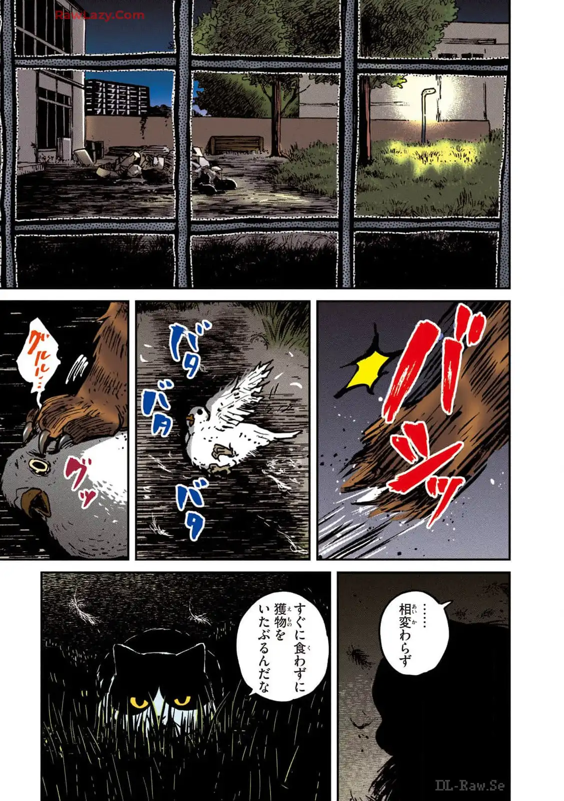 P7