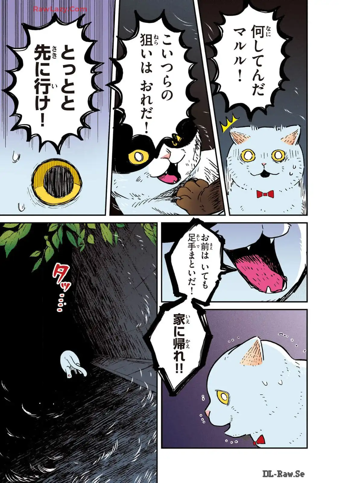 P3