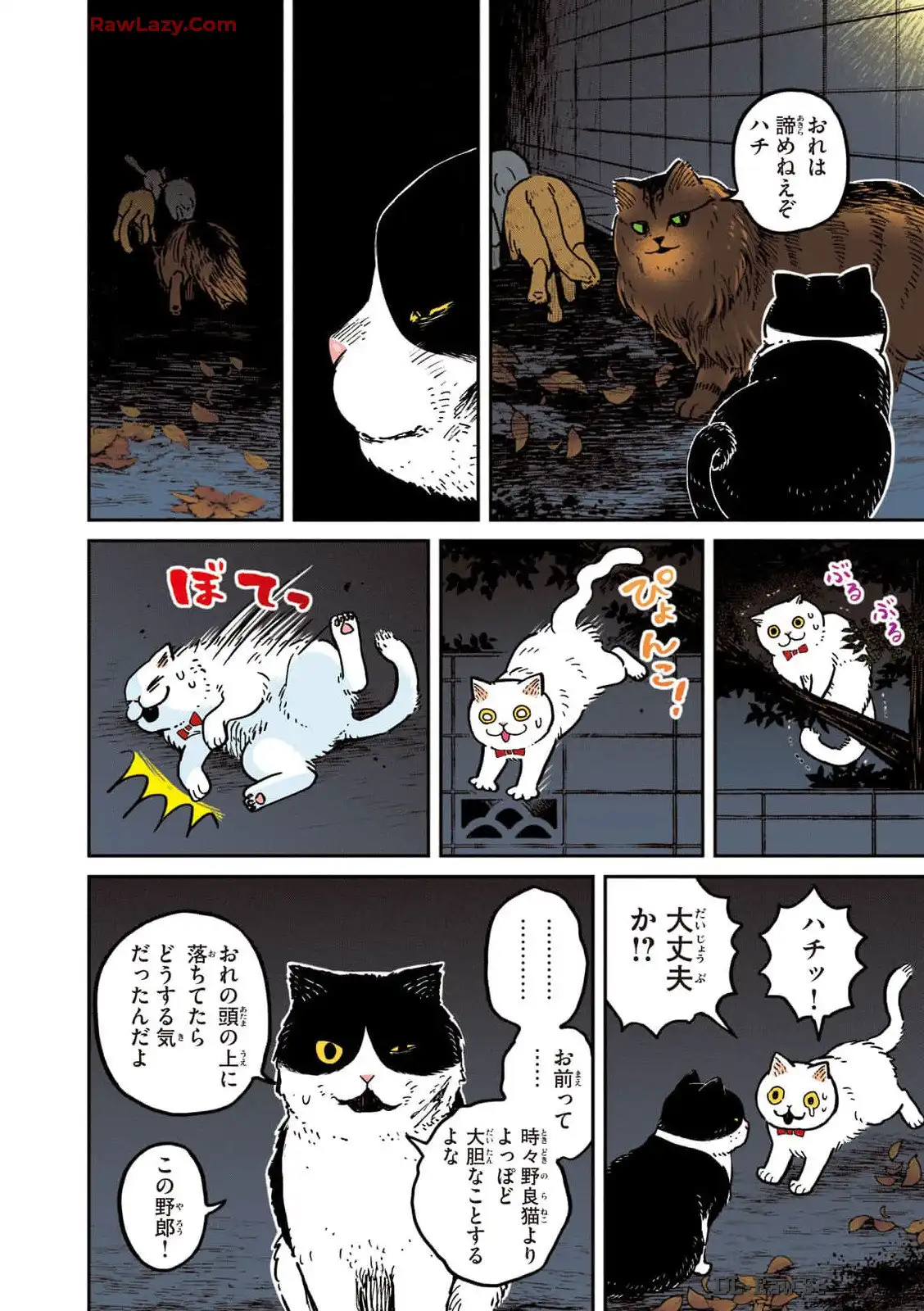 P8
