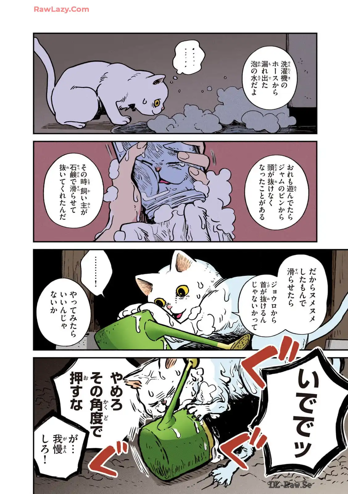 P26